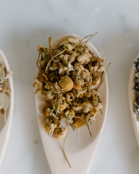 Découvrez les boissons ayurvédiques pour une meilleure santé !