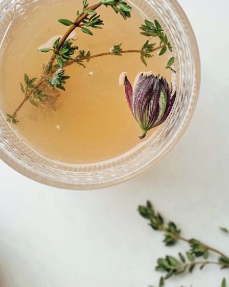 Tisane de thym et miel : bienfaits pour la santé